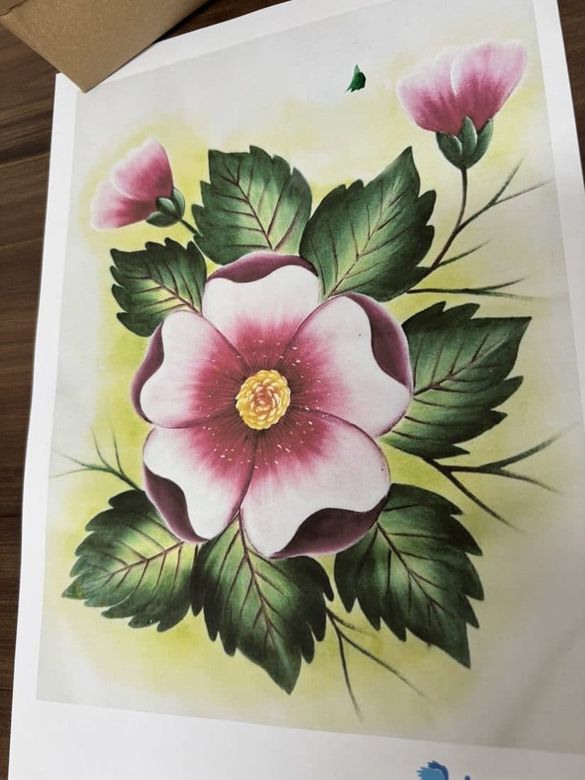 Pintura de uma rosa selvagem